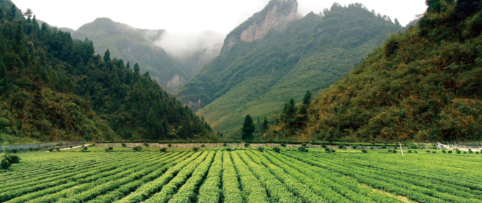 恒峰g22(国际)官网入口-每天有惊喜