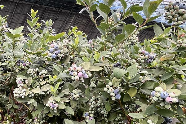 恒峰g22(国际)官网入口-每天有惊喜