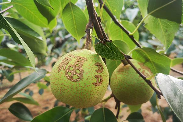 恒峰g22(国际)官网入口-每天有惊喜