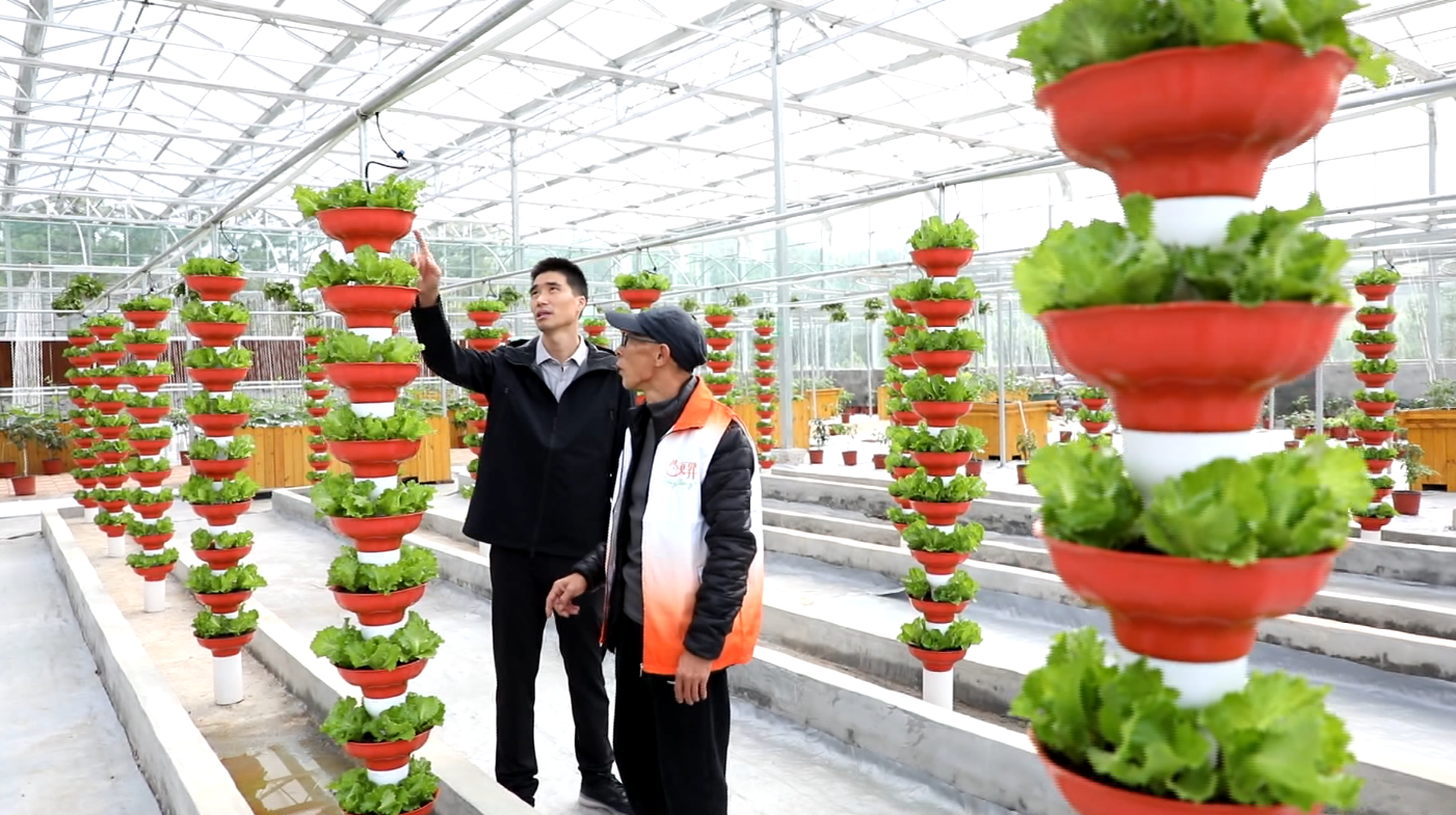 恒峰g22(国际)官网入口-每天有惊喜